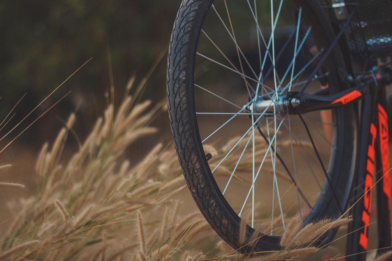 bicycle, molding, cycling, sport, mountain biking, landscape, adventure, nature, spinning bike, exercise, outdoor, day off, speed, race, activity, play, athletes, thailand, cycling, mountain biking, mountain biking, mountain biking, spinning bike, spinning bike, spinning bike, spinning bike, spinning bike